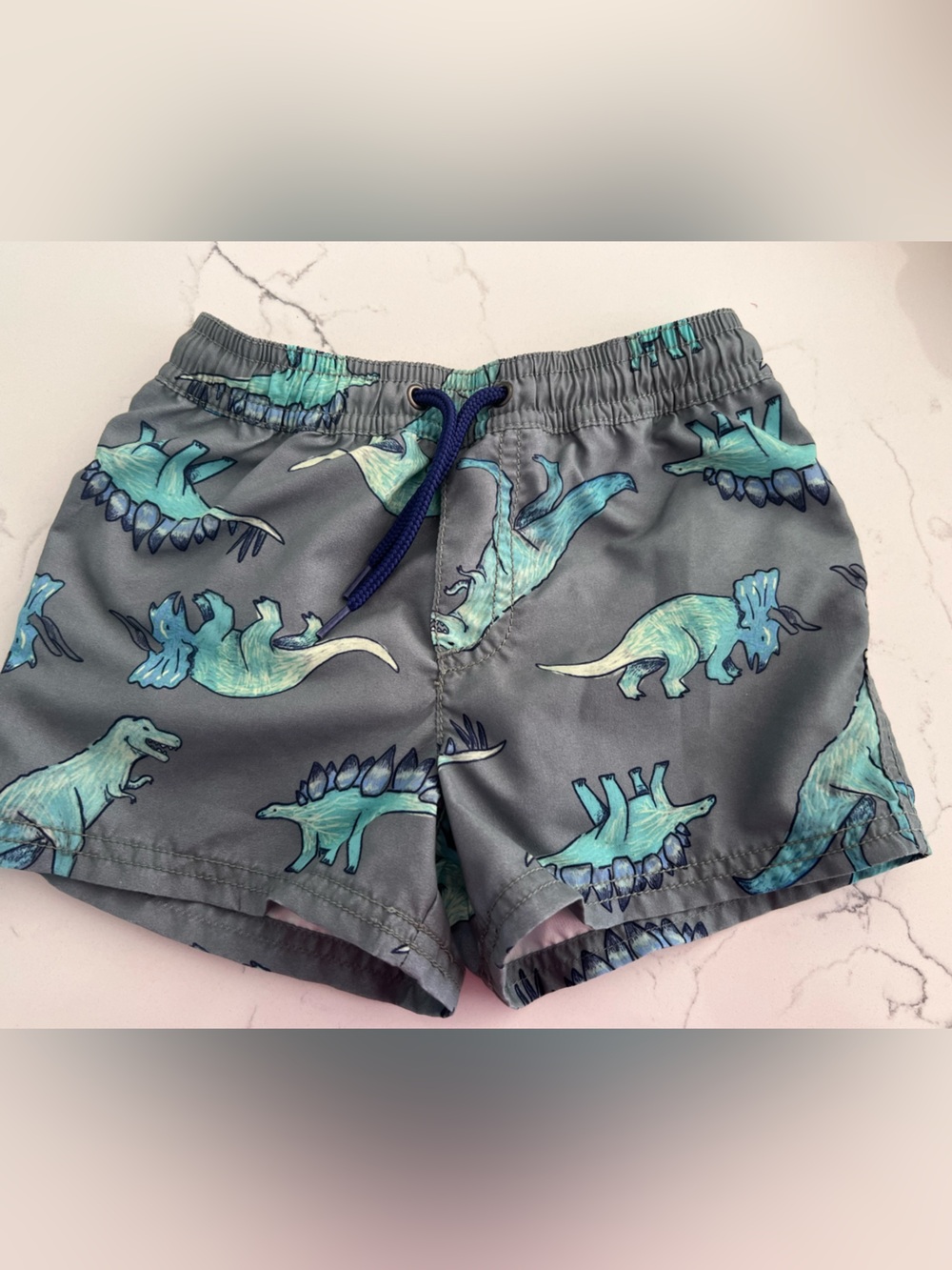 Carter’s Dinosaur Swim Trunk